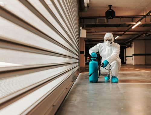 Why an Inspection & Survey Is the First Step in Successful Property Remediation