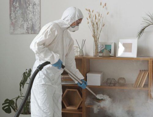 What Is Biohazard Cleaning and When Is It Needed?