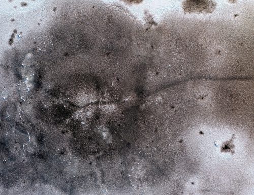 Mould Remediation in High Wycombe: Common Causes and Prevention Tips
