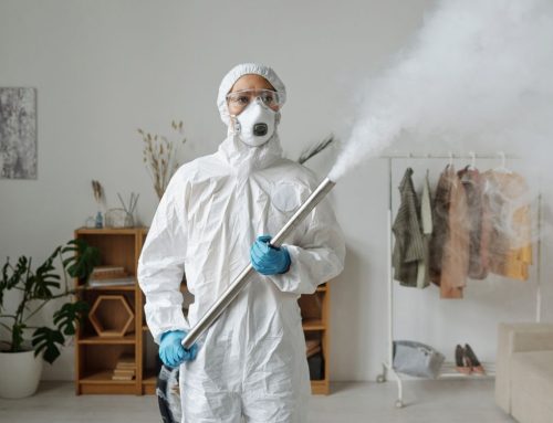 Specialist Cleaners in Milton Keynes: When to Call the Professionals