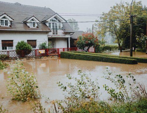 Flood Remediation in Daventry: How We Help Properties Recover After Water Damage