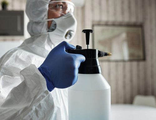 Biohazard Cleaning in Northampton: Professional Support for Sensitive Situations